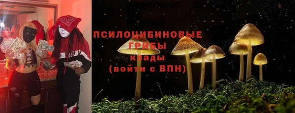 СК Аркадак