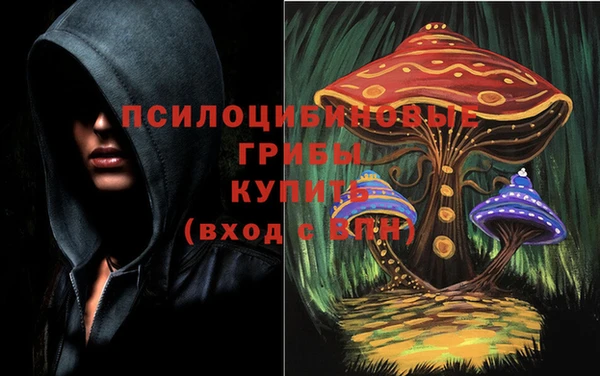 дмт Арсеньев