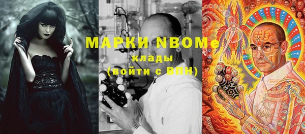 стафф Алексин