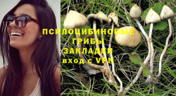 СК Аркадак