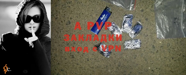 стафф Алексин