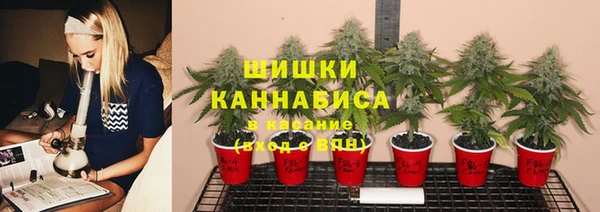 дмт Арсеньев