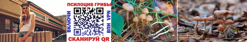 цены   Бабушкин  Галлюциногенные грибы мицелий 